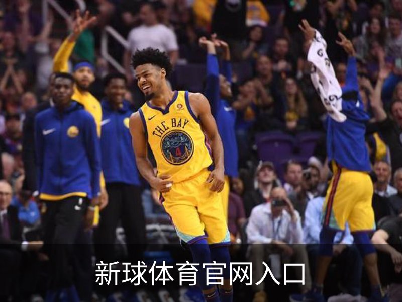 新球体育官网入口概况